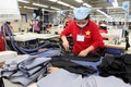 印度将越南视为实现纺织品出口市场多样化的目的地