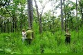 Cải thiện đời sống người dân thông qua hình thức nhận khoán quản lý, bảo vệ rừng ở Kon Tum
