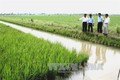 Ngành nông nghiệp Cà Mau đẩy mạnh sản xuất theo chuẩn VietGAP