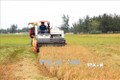 Đột phá sau 10 năm thực hiện nghị quyết về “tam nông” ở Quảng Trị