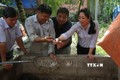 Nuôi lươn hiệu quả trên vùng ngập lũ ở Tiền Giang