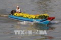 Giá hoa Tết 2018 tại Thành phố Hồ Chí Minh ít biến động