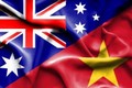 越澳专家：两国经贸投资关系将日益向前迈进