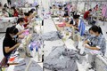 Nhiều doanh nghiệp dệt may ở Thành phố Hồ Chí Minh tuyển lao động, mở rộng sản xuất