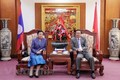 老挝人民革命党中央对外部部长：越南的成就和胜利为老挝的发展注入动力
