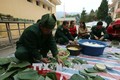 Bộ đội Biên phòng Điện Biên giúp dân vui Xuân đón Tết