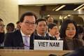 越南不断努力确保所有人均能充分享受人权