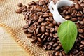 Tìm hiểu 8 sự thật về caffeine