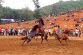 Hấp dẫn Giải đua ngựa, đấu ngựa truyền thống ở Tuyên Quang