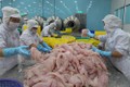美国商务部公布对越南查鱼—巴沙鱼产品的复审终裁结果