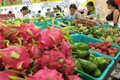 越南积极提高蔬菜鲜果质量 挺进日本市场