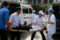 越南参加应对自然灾害的医疗救治国际演练活动