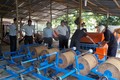 Trà Vinh hỗ trợ doanh nghiệp nâng cấp chuỗi giá trị cây dừa