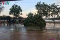 Đắk Lắk mưa lớn kèm lốc xoáy làm hơn 100 nhà dân bị tốc mái
