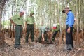 Long An tăng cường phòng chống cháy rừng trong mùa khô