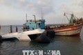 Thành phố Hồ Chí Minh: Trục vớt tàu cao tốc C3 để tìm nguyên nhân sự cố