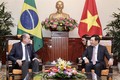巴西外长对越南进行正式访问