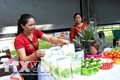 Ngày hội phụ nữ khởi nghiệp ở Đắk Lắk