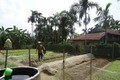 Kinh tế vườn giúp nông dân Thừa Thiên - Huế thu nhập cao và bền vững