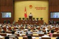 越南第十四届国会第五次会议29日就3部法律草案进行讨论