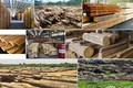 2018年越南木材和木制品出口额可达90亿美元