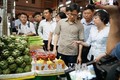 Phó Thủ tướng Vũ Đức Đam: Thành phố Hồ Chí Minh cần nỗ lực kiểm soát thực phẩm từ nguồn