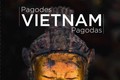 Ra mắt tập sách ảnh “Chùa Việt Nam nơi gửi gắm lòng tin”