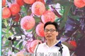 2018年海阳省清河荔枝节开幕