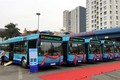 河内市将试点开通3条公共小巴线路