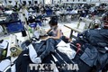 越南与印度从纺织服装行业的合作