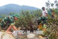 Nhân dân biên giới Việt - Trung phối hợp vệ sinh môi trường dọc tuyến sông biên giới