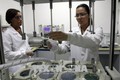 Brazil phát triển phân tử tổng hợp cho thuốc điều trị 