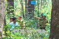 Các đơn vị cam kết trả nợ tiền dịch vụ môi trường rừng sớm nhất cho tỉnh Kon Tum