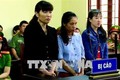 Thành phố Hồ Chí Minh: Xét xử vụ bạo hành trẻ em tại cơ sở mầm non tư thục Mầm Xanh