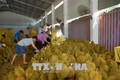 Đồng Nai khuyến cáo nông dân không ồ ạt trồng sầu riêng