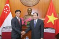 促进越南与新加坡关系发展