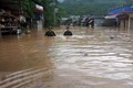暴雨洪水造成至少6人死亡和失踪