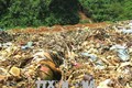 Người dân cạnh bãi rác lộ thiên tại Vị Xuyên phải ngồi trong màn ăn cơm để tránh ruồi