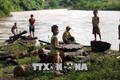 Vẫn còn tình trạng trẻ em liều mình vớt củi trên dòng nước lũ ở Điện Biên