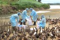 全国甲型H5N6 禽流感疫区为3个