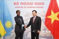 越南政府副总理兼外长范平明与卢旺达外交合作部长穆希基瓦博举行会谈