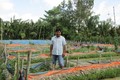 Anh Nguyễn Minh Đời lãi lớn nhờ lót bạt nuôi lươn trên ruộng