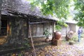Bảo tồn nhà rường cổ ở Phước Tích, Thừa Thiên - Huế