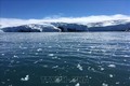 Nguy cơ tan băng ở Nam Cực ngay cả khi nhiệt độ Trái Đất chỉ tăng vừa phải 