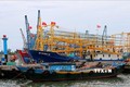 Quảng Trị hỗ trợ trên 25 tỷ đồng cho đội tàu cá khai thác xa bờ