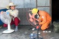 Niềm vui của làng Tân Định trong lần đầu tiên được đón điện lưới quốc gia
