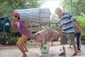 Đề xuất giải pháp phòng, chống dịch tả lợn châu Phi
