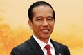 印度尼西亚总统即将对越南进行国事访问