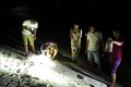 Trải nghiệm săn cua, còng đêm tại đảo Bé, Lý Sơn