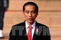 印尼与越南经贸合作潜力持续释放